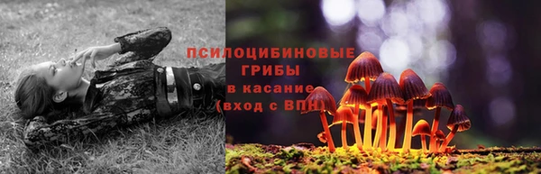 Альфа ПВП Абдулино